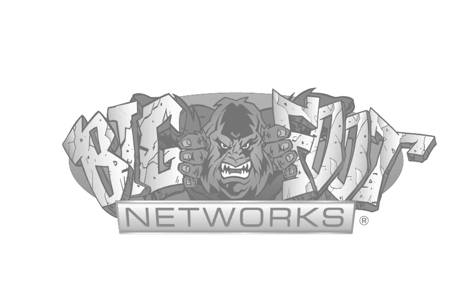 Bigfoot Networks